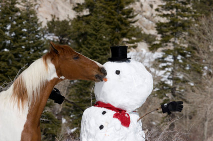 Your Horsey Christmas wish-list sorted!
