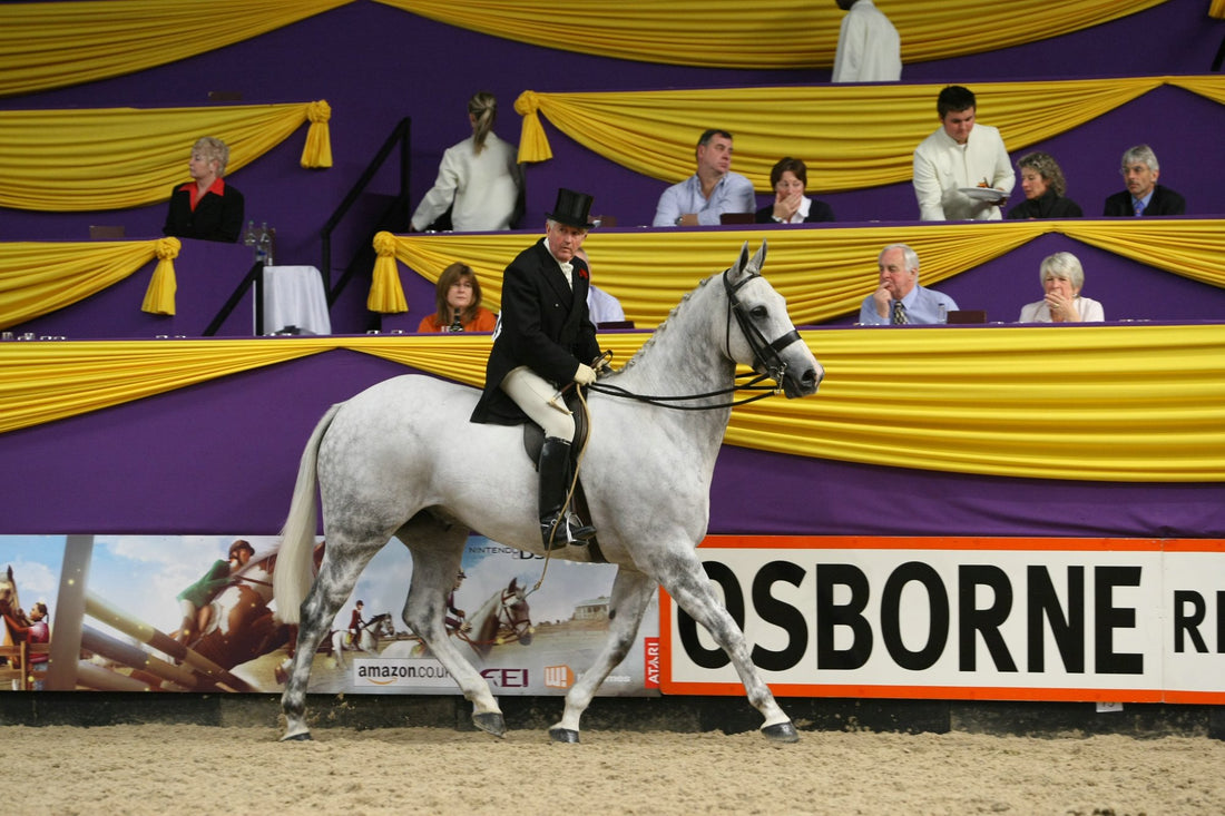 Summer showing - for horses and ponies. (In-hand, M&M, ridden show horses & ponies, working hunter)