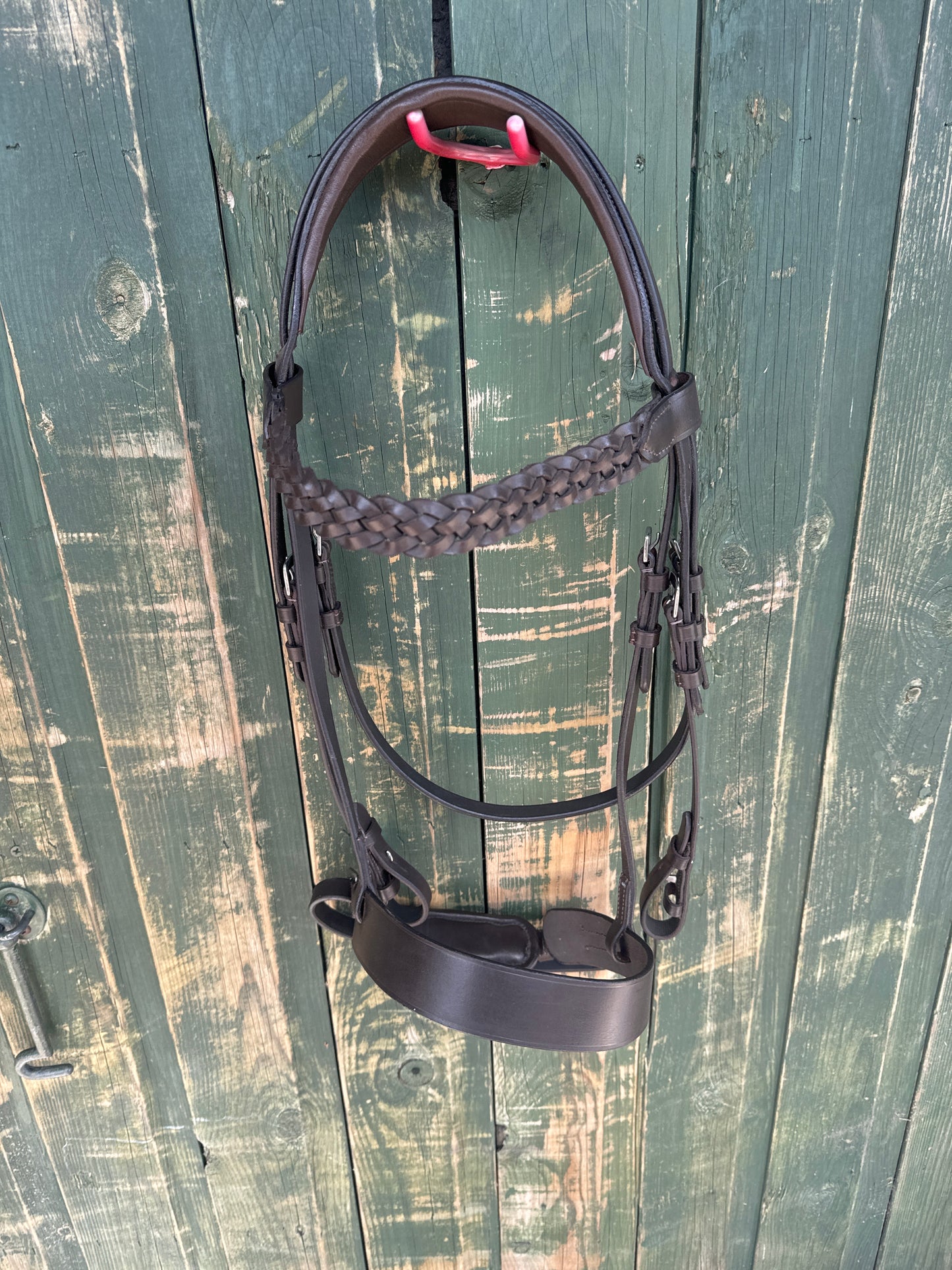 Show bridle